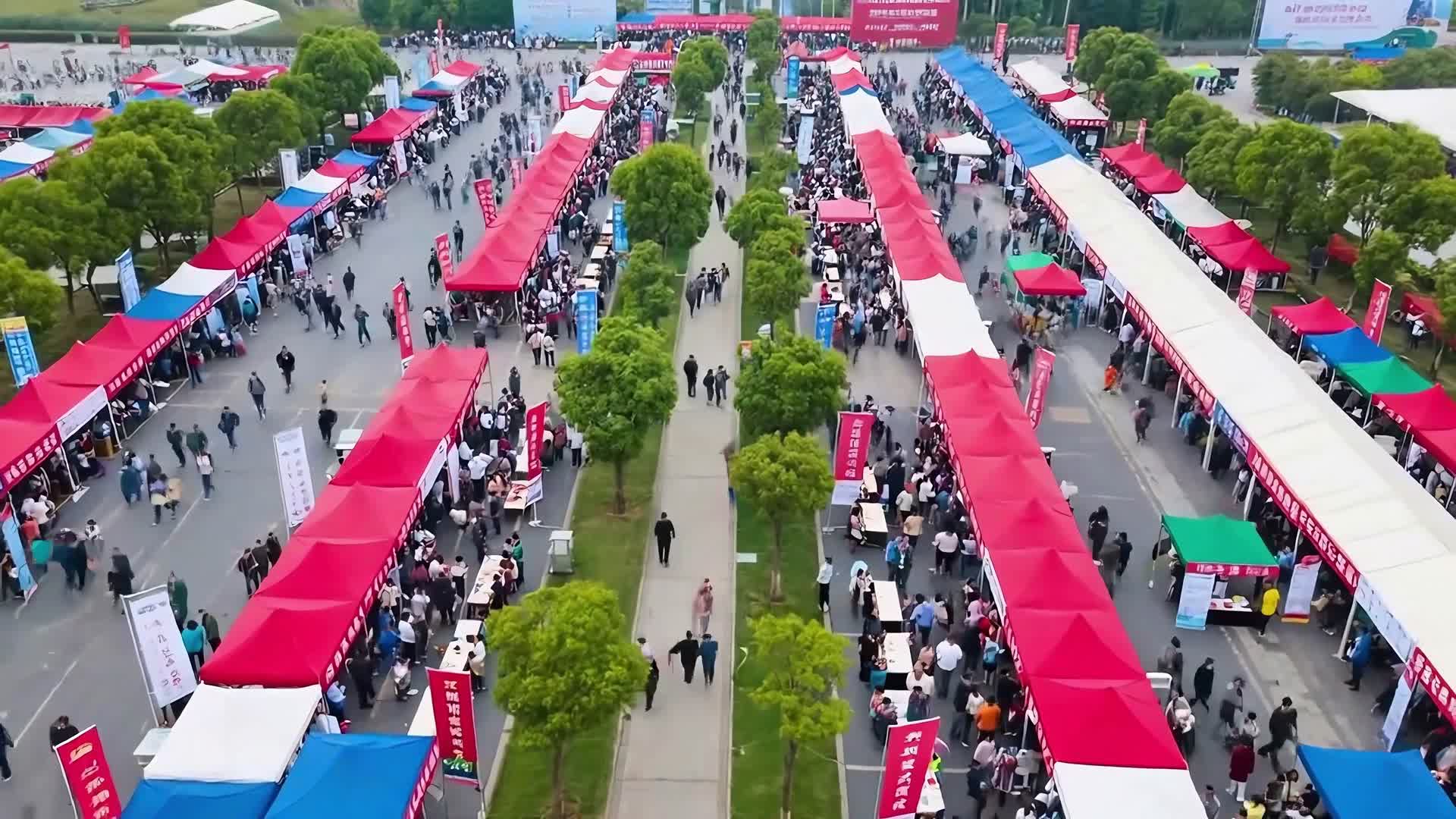 AI视频航拍热闹招聘会集市全景视频的预览图