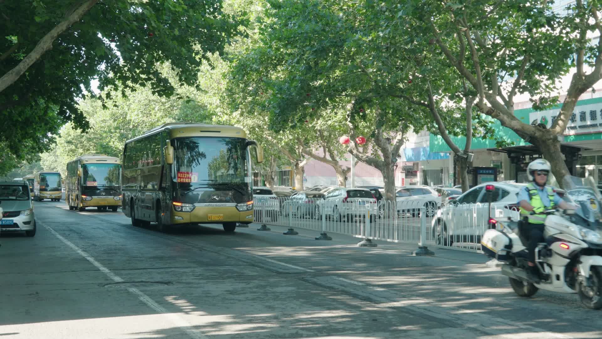高考送考车队家长带鲜花迎接考生视频的预览图