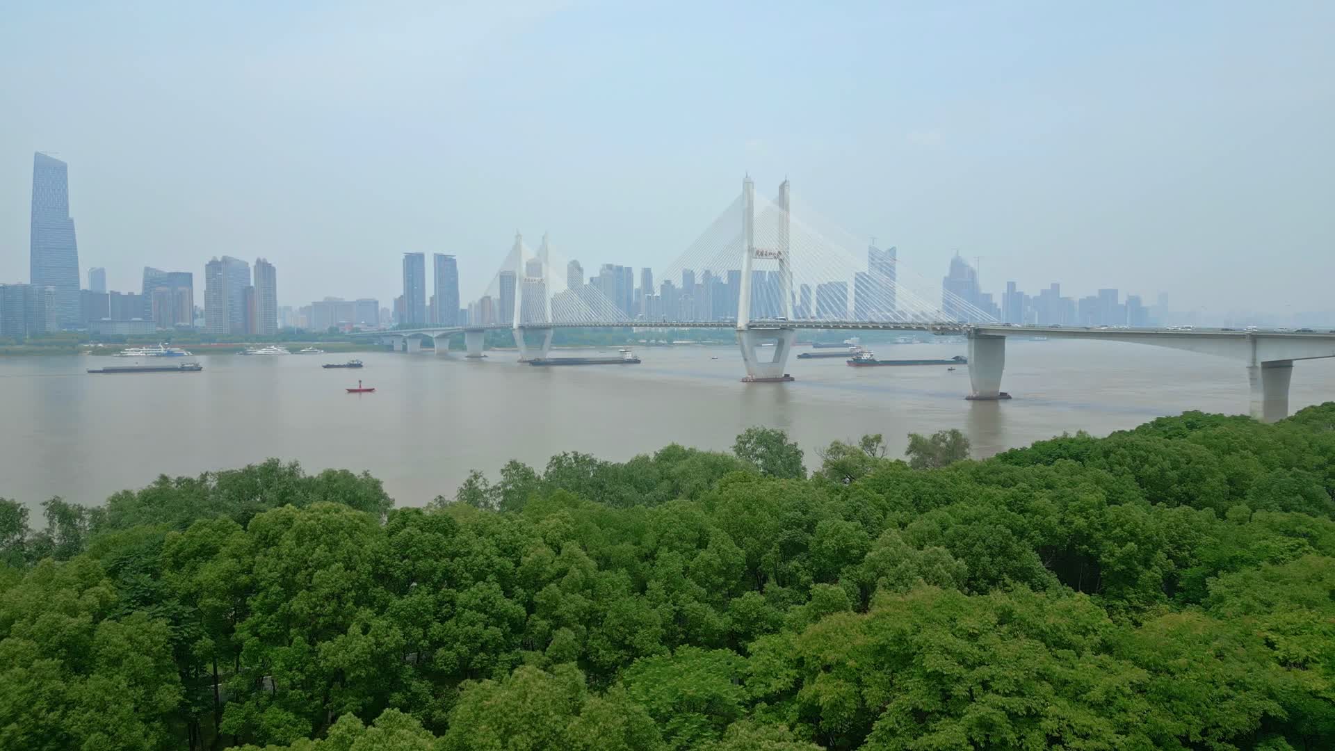 武汉长江二桥视频的预览图