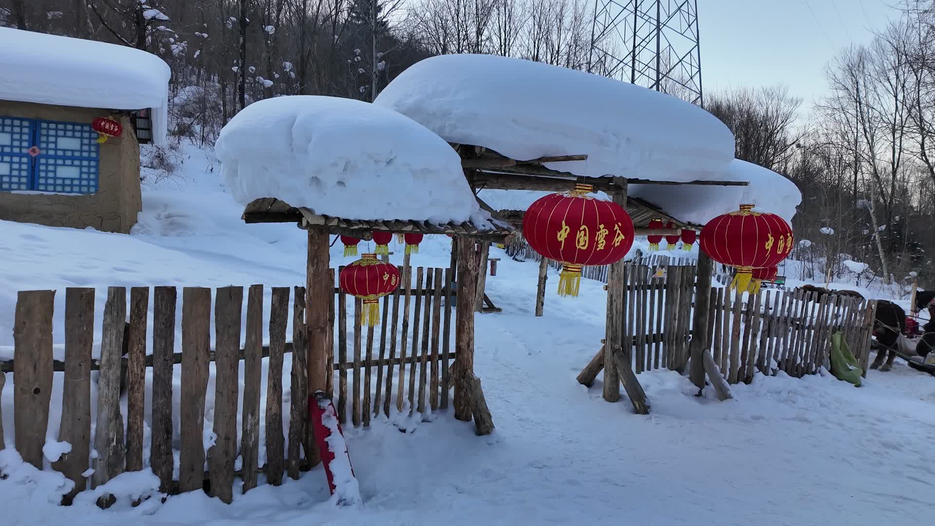 雪谷林海雪原视频的预览图